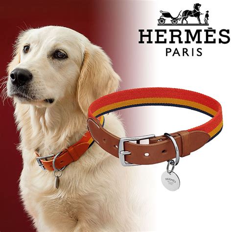 hermes pet